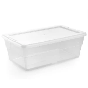 Caja Zapatera Grande Plástico Arplasa
