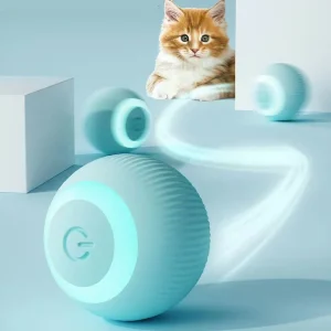 Super bola mágica para gatos 🐱 BALLCAT 🐈‍⬛