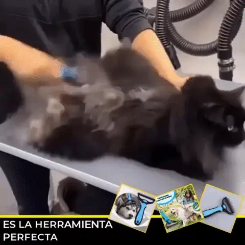 Cepillo Profesional quita pelos y nudos 🐶 "REMOVE PRO"😸
