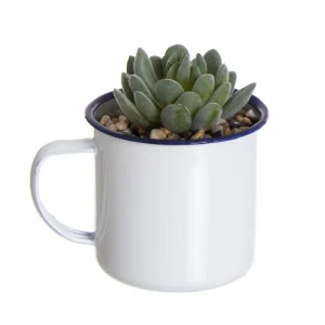 Cactus en Maceta Mug Laton M