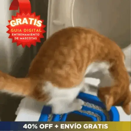 Kit entrenamiento de Baño para Gato 🚽 ULTRA CAT 😸 (Proceso gradual y seguro)