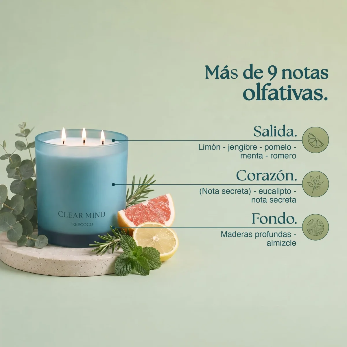 Vela aromática FOCUS - Imagen 6