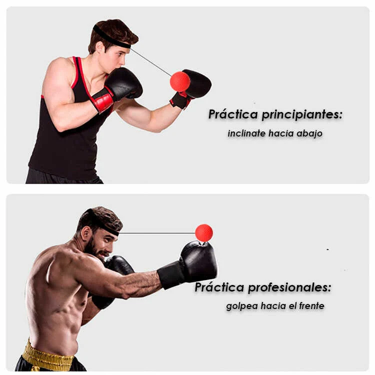 Esfera Importada de entrenamiento 🥊 FIT PRO-MAX 👊 (Práctico para todas las edades) - Imagen 6