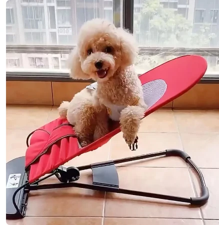 Lujosa 💎 mecedora portátil ajustable para perros y gatos 🐶🐱 PETSPRO💤 - Imagen 6