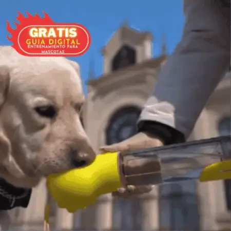 Dispensador Portátil de Comida para mascotas 4 en 1 💦  FRIEND ULTRAMAX 🐶 (Última generación a prueba de fugas)