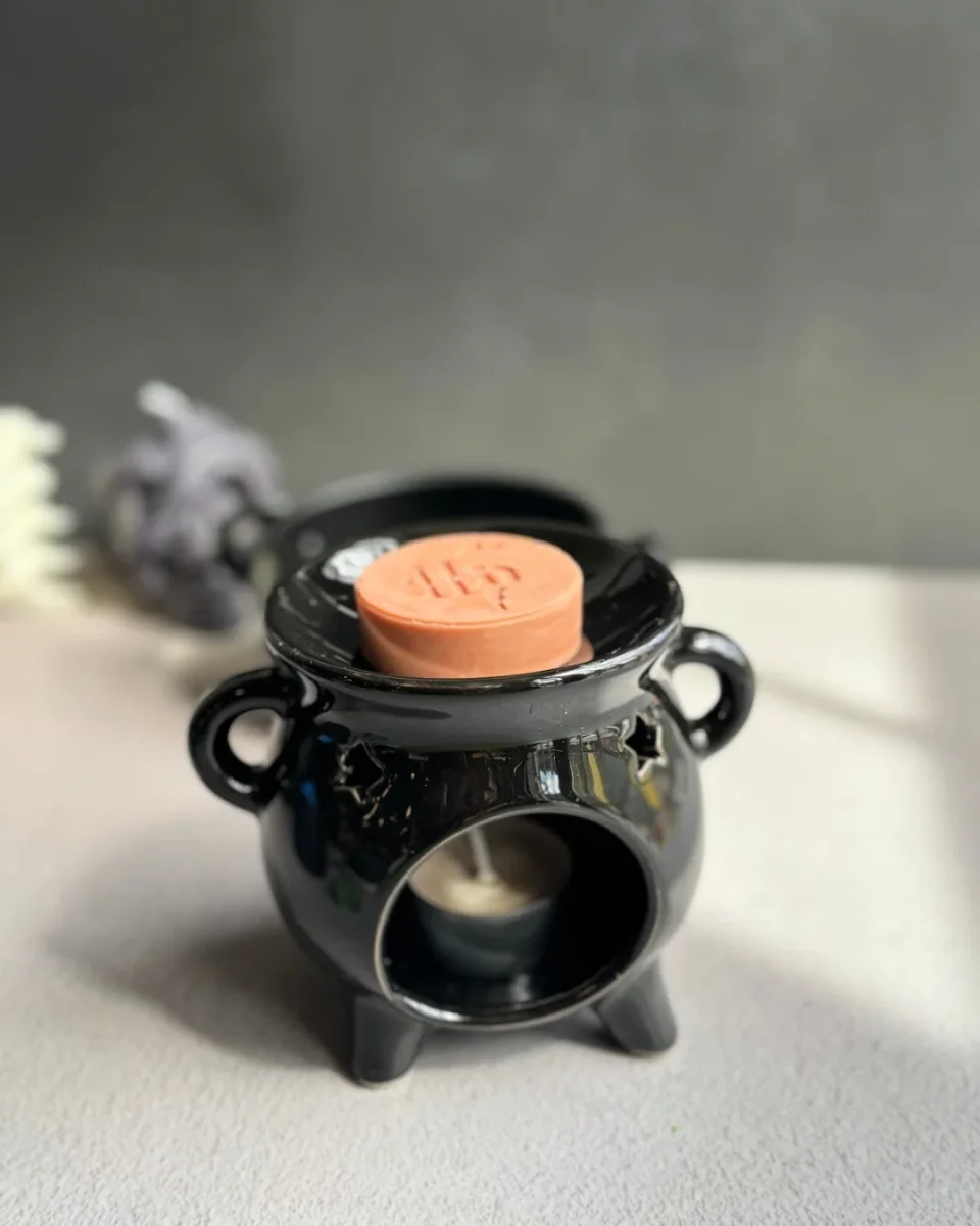 Pack caldero + waxmelts HP - Imagen 3